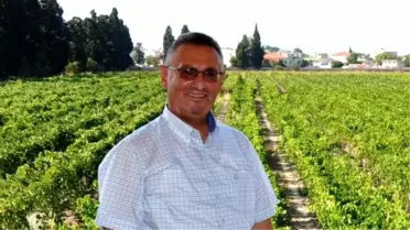 Don ve Dolu Felaketi Yaşayan Üzümcüleri Bekleyen Tehlike