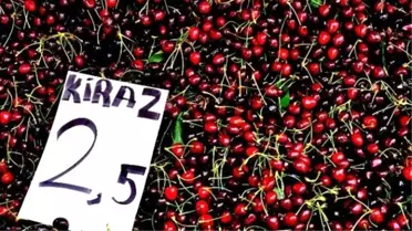 Kirazın Anavatanı Giresun'da Tokat ve İzmir Kirazı Satılıyor