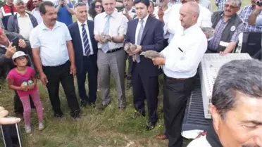 Süne ve Çekirge Mücadelesinde Doğaya 750 Keklik Bırakıldı