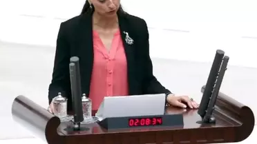 Meclis'te Yemin Töreni (2)