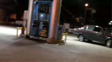 Tatilci Ailenin Duyarlılığı Kedi Yavrusunun Hayatını Kurtardı