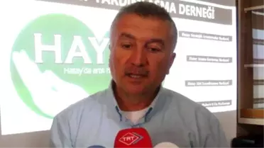 Kırıkhan'daki Suriyeliler 'Hayad'la Hayata Tutunuyor