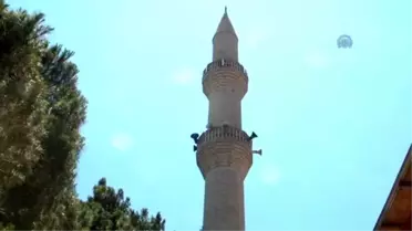 Kahramamanmaraş'taki Trafik Kazası