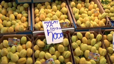 Bu Yıl Kayısı Doya Doya Tüketilecek'
