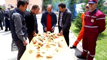 Bolu Ormanlarında Yetişen Doğal Mantar Türleri Projesi'