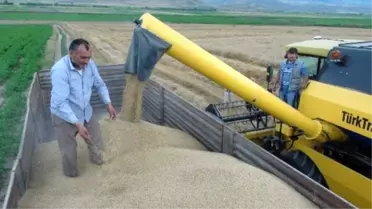 Yozgat'ta Hububat Hasadı Başladı