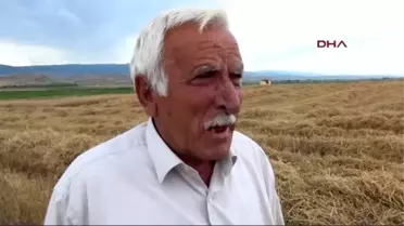 Yozgat'ta Hububat Hasadı Başladı
