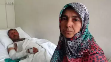 Bursalı Çobanı, Ayının Elinden 'Çomar' Kurtardı