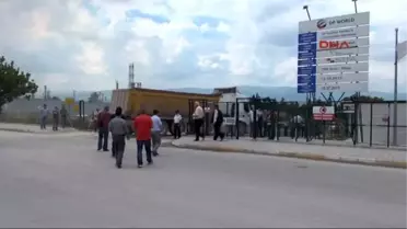Kocaeli Çevreciler 'Dubai Port' İçin Anayasa Mahkemesine Başvuracak