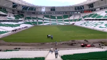 Bursa Timsah Arena'nın Çimleri Tamam