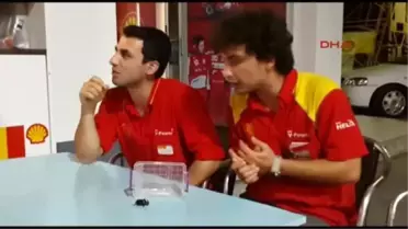 Gölcük - Bir Gergedan Böceği de Gölcük'te Bulundu