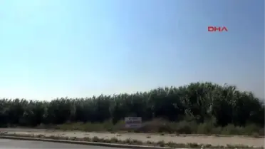 Mersin Büyükşehir'de Rüşvet İddiası