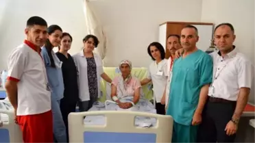 Terleme Hastalığına Son