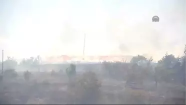 Elazığ'da Tarım Arazisi ve Meşelik Alanda Yangın