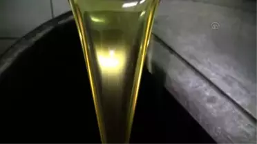 Bu Yıl Zeytinyağı Normal Değerini Buldu'