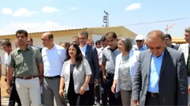 Diyarbakır'da Fidan Diken Hdp'li Milletvekili ve Başkanlara Taşlı Saldırı