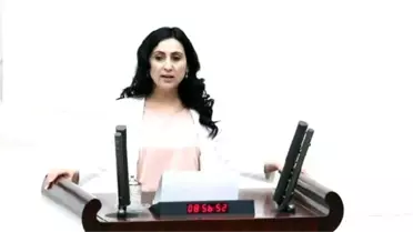 Hdp Open To Coalition With Unwilling Akp: Co-chair