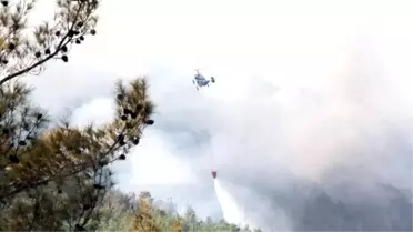 Mersin'deki Orman Yangını