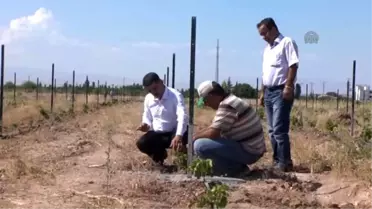 Çiftçiler Meyveciliği 'Eğitim Kampüsü'Nde Öğrenecek