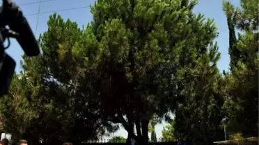 Gemlik'te Avukatlardan Öcalan Eylemi