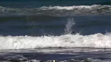 Karadeniz'de Dalyan ve Rip Tehlikesi