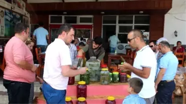 Ordulu Turşuculara 'Gurbetçi ve Turist' Akını