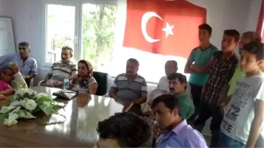 Karaisalı'da Hayvancılık İşletmeleri İlçe Dışına Taşınıyor