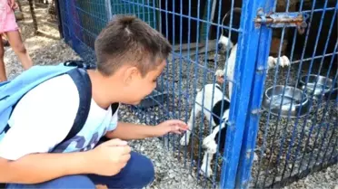 Bodrumlu Miniklerden 'Köpekler Evsiz Kalmasın!' Projesi