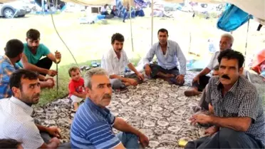 Doğulu Mevsimlik İşçiler Konaklama Alanından Memnun, Sezondan Umutlu