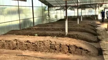 Solucan Gübresinde Otomasyona Geçildi