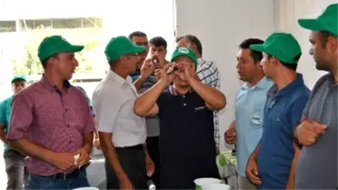 Milas Süt Birliği'nde Hijyen Eğitimleri Devam Ediyor