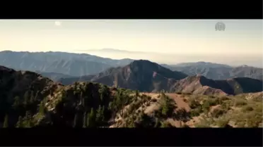 Sinema - Fant4stik