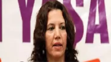 Irmak:Öcalan Mandela Gibi Halkların Arasına İnmeli