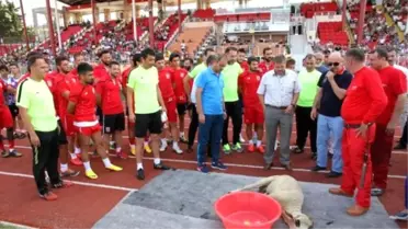 Balıkesirspor Taraftarını Coşturdu