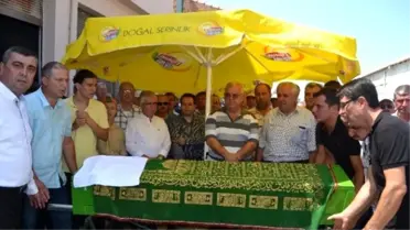 Evreşe Eski Belediye Başkanı Amansız Hastalığa Yenik Düştü