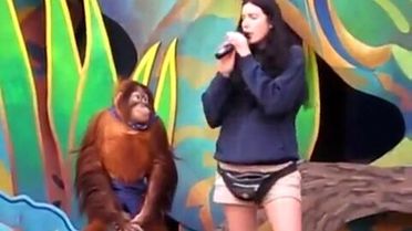 Sahibiyle Dalga Geçen Zeki Taklitçi Orangutan