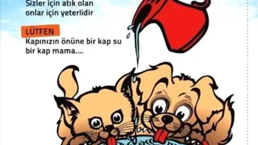 Sokak Hayvanlarına 'Bir Kap Su Dolu Mutluluk' Projesi