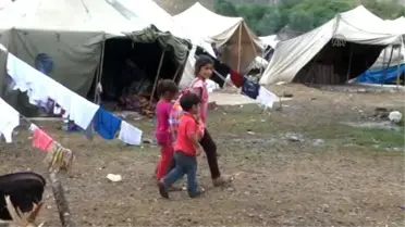 Aileler Fındığa Çocuklar Okula Gidiyor