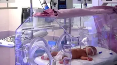 Tüp Bebek Berat'a 'Hayat Suyu'