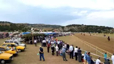 Taşköprü'de At Yarışı Heyecanı