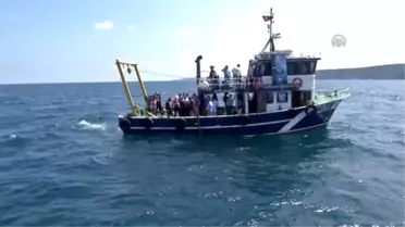 Denizler 'Hayalet Ağ'Lardan Temizleniyor