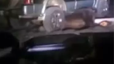 Ayıya Yapılan İnsanlık Dışı İşkence İzleyenlerin Yüreklerini Sızlattı