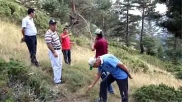 Erzurum Obm'de Silvikültür Uygulamaları Denetimi