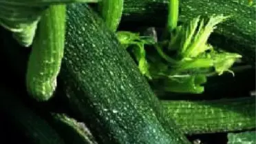 Bahçesinde Yetiştirdiği Kabaktan Zehirlendi