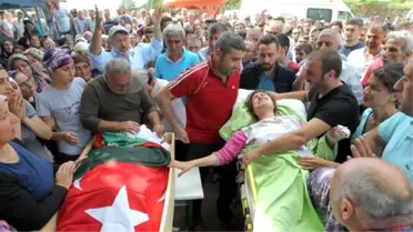 Artvin'deki Facianın Asıl Nedeni Çay Bahçeleri
