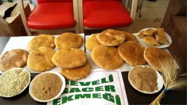 Gacer İçin Hazırlanan Proje İçin 350 Bin TL'lik Kaynak Aranıyor