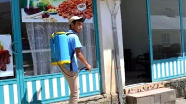 Karasineklere Karşı İlaçlama Çalışması Yapılıyor