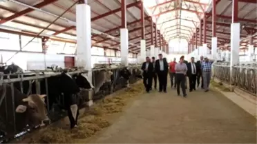 Ziraat Odası Koordinasyon Toplantısı Yıldızeli'nde Yapıldı