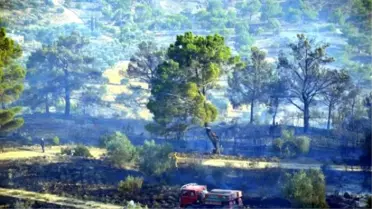 Orman Yangını Korkuttu