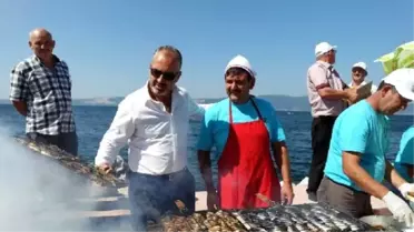 Balık Festivali'nde 8 Bin Kişiye Balık Ekmek Ziyafeti